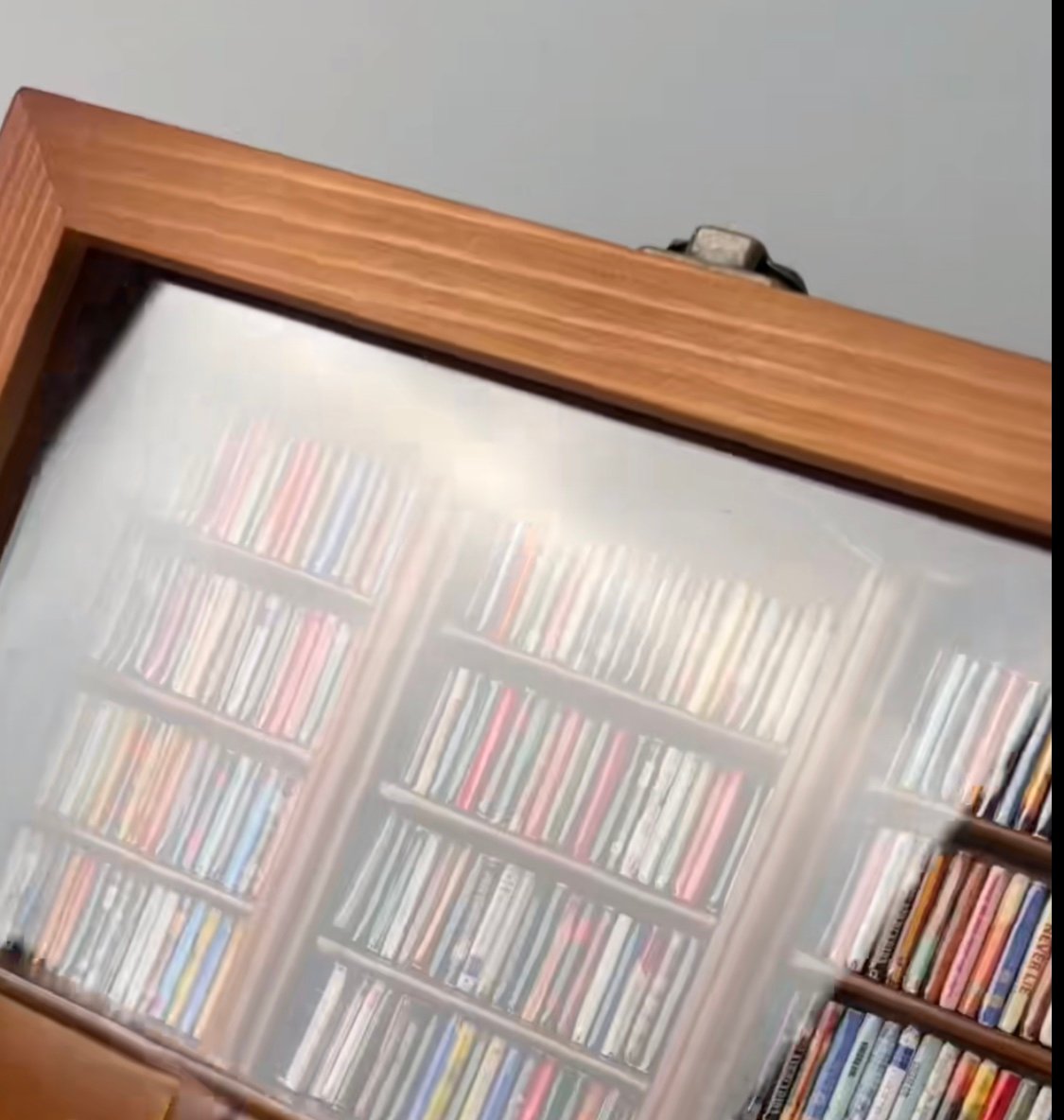 🏆Anxiety Bookshelf | Shake Away Your Anxiety