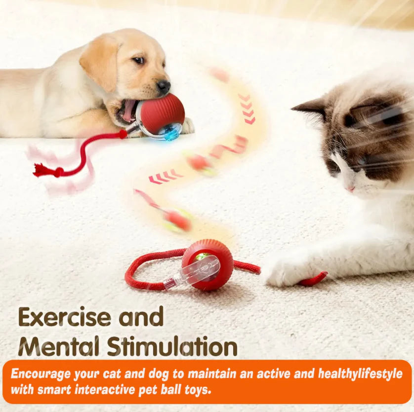 Interactive Pet Ball ✨