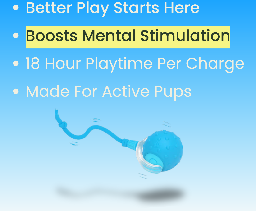 Interactive Pet Ball ✨