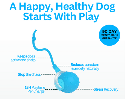 Interactive Pet Ball ✨