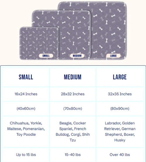 Prevent Pee Smells, Floor Damage, and Costly Cleanups with Clover💋