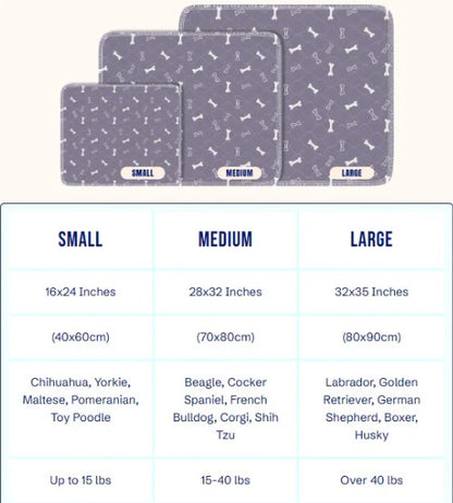 Prevent Pee Smells, Floor Damage, and Costly Cleanups with Clover💋