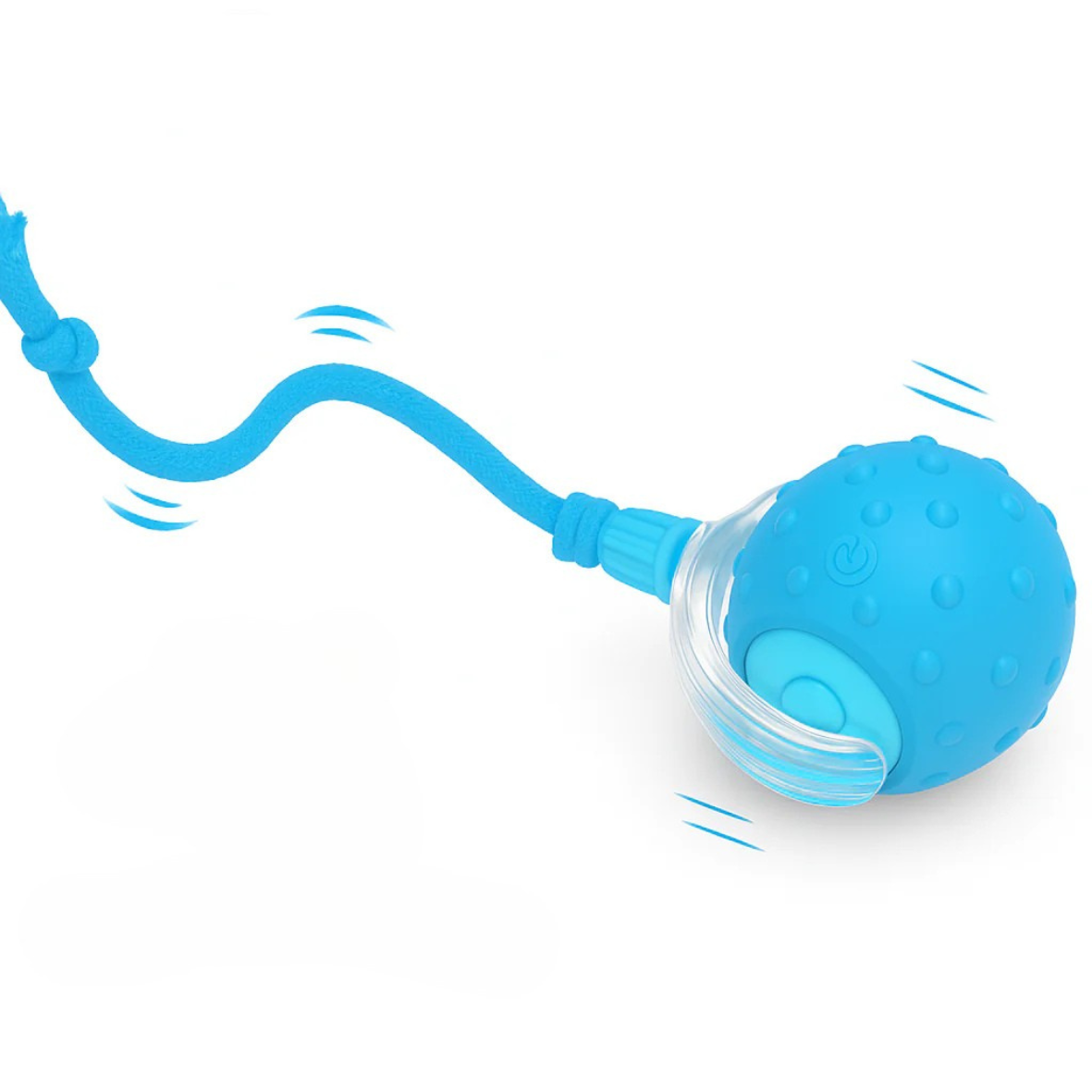 Interactive Pet Ball ✨