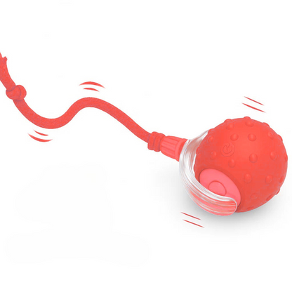 Interactive Pet Ball ✨