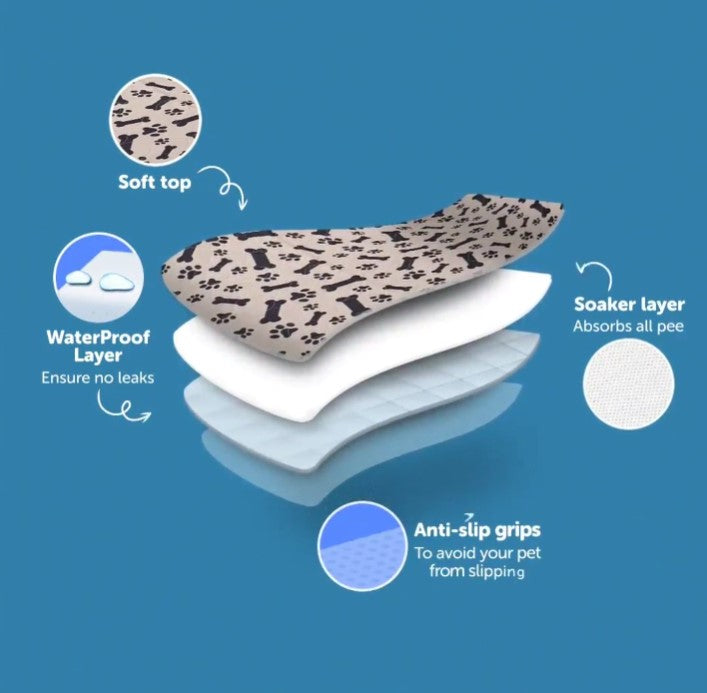 Prevent Pee Smells, Floor Damage, and Costly Cleanups with Clover💋