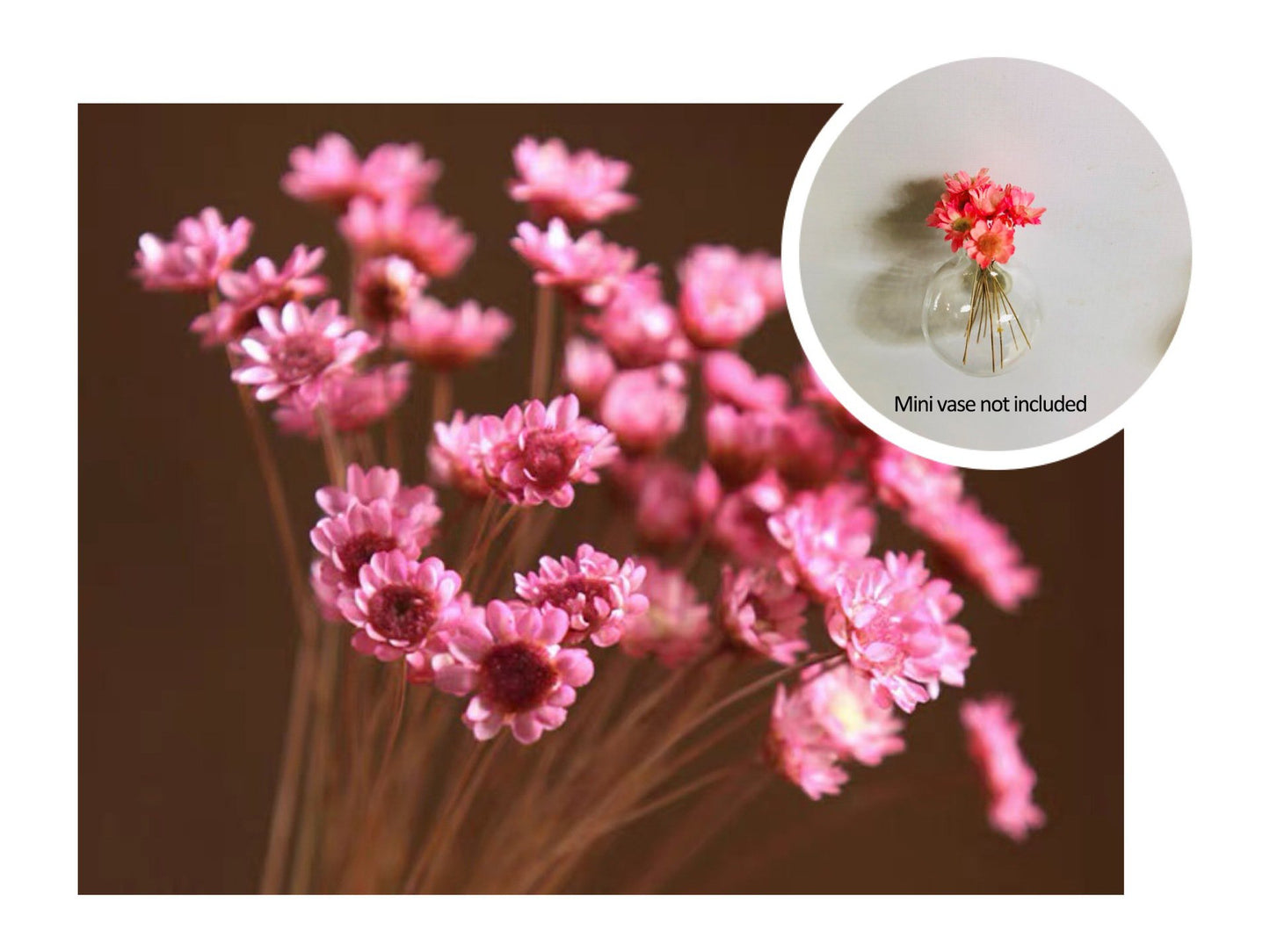 🏆🌸Mini Ceramics Vase Fridge Magnet