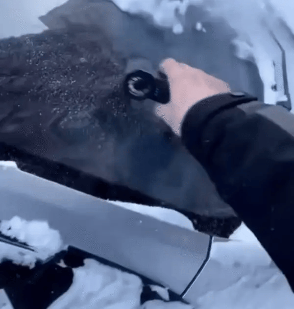 Snow Master Pro LED Turbo Blower💋