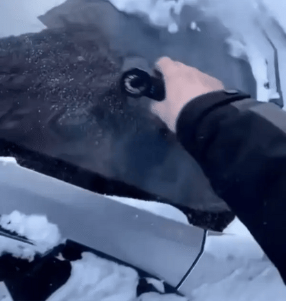 Snow Master Pro LED Turbo Blower💋