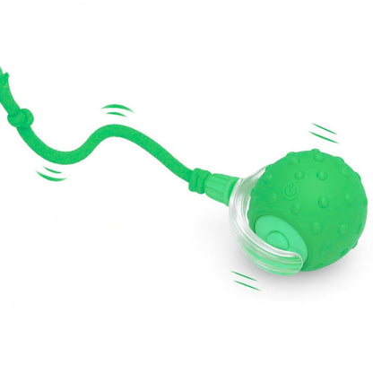 Interactive Pet Ball ✨